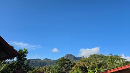 Altos del Maria House | Cozy Houses in Tropical Forest Mountain Paradise