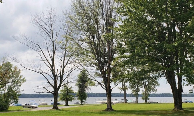 Westford Apartment | Cozy Lakefront on Pymatuning with Dock and EV Power