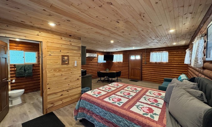 Cambridge Cabin | Cozy log cabin with AC and WiFi in quiet countryside and awesome night sky views