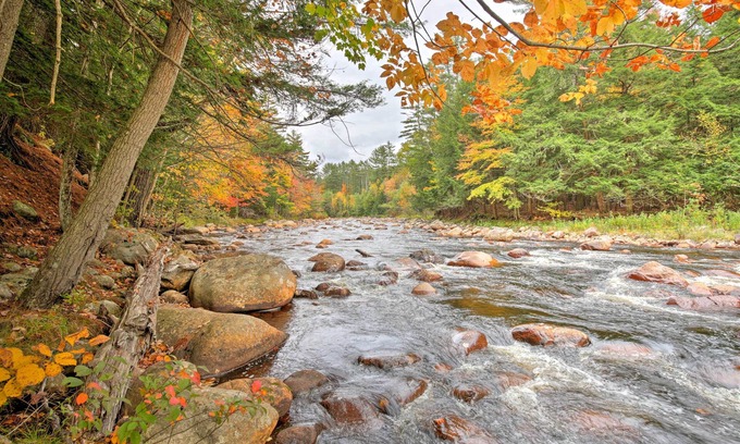Glenfield Cabin | Cozy, Rustic Adirondack Riverfront Log Cabin, Rapids, Near Horse and ATV trails