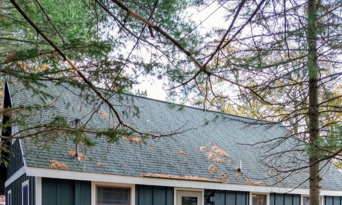 Harbor Springs Ski Chalet | Cozy Summer or Ski retreat w/firepit and hot tub