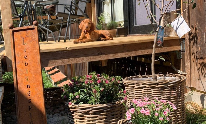 Neunburg vorm Wald Apartment | Cozy vacation apartment for 4 people