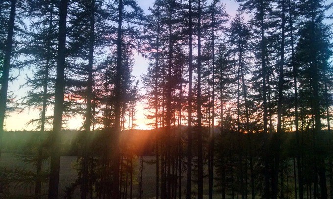 Whitefish Apartment | Crane Marsh Getaway, 5 minutes from Downtown Whitefish