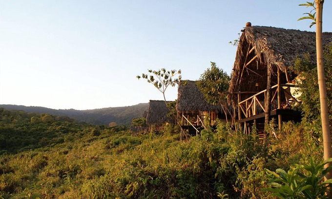 Ngorongoro Conservation Area Other | Crater Forest Tented Camp
