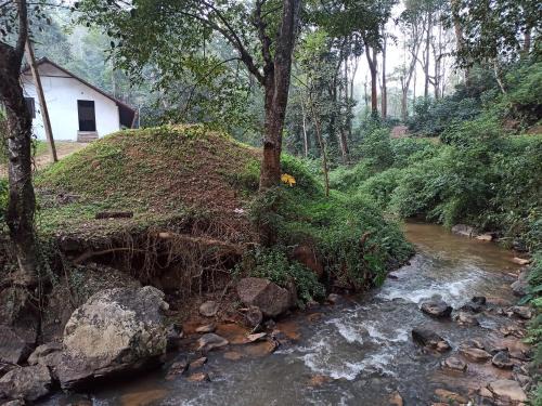 Somvarpet House | Creek Side