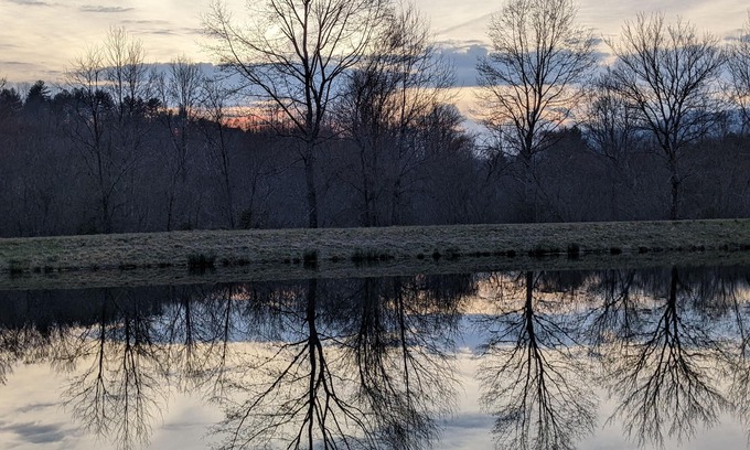 Hayesville Cabin | Creekfront! Private ponds for fishing! Mountain views & trails. Pet-friendly