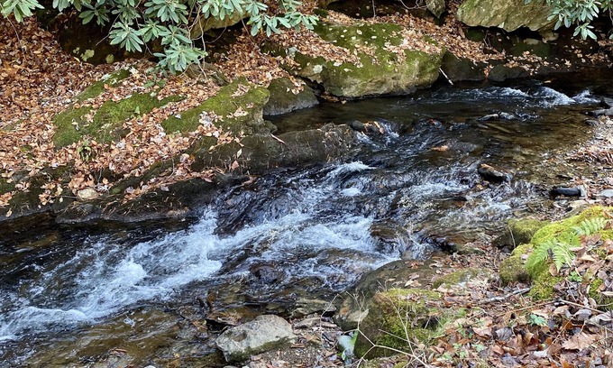 Boone Cabin | Creekside Cabin