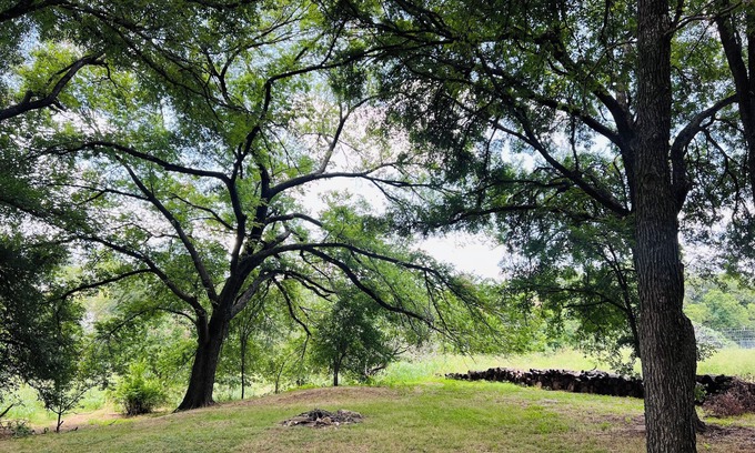 Austin Cottage | Creekside Cottage in the City, 1 BR, addt’l sleeper sofa, AC & all amenities