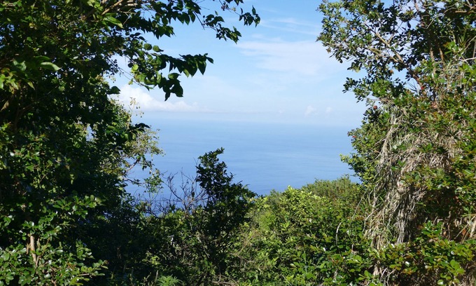 Saint-Leu House | Creole box in the top of the island in the countryside with sea view