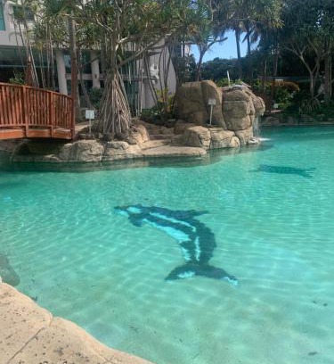Surfers Paradise Apartment | Crown Towers - Private Apartment