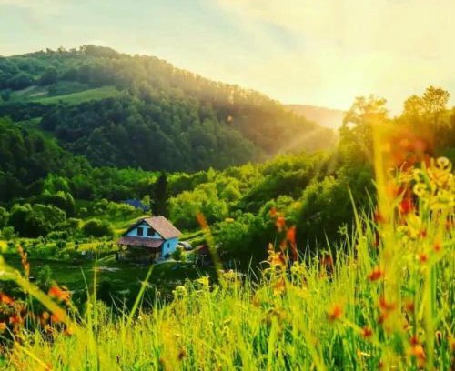 Feldru Other | Cuibul cu Trufe