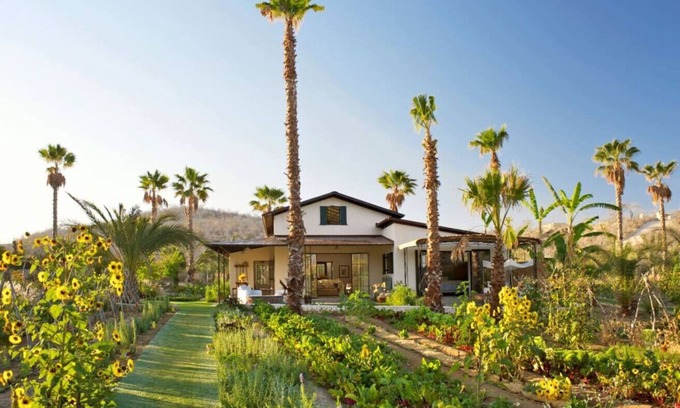 San Jose del Cabo House | Culinary Cottages at Flora Farms 2-BR
