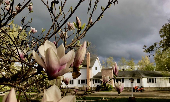 Traverse City Other | Cute house w/ separate apartment, farm and creek only 3 miles from downtown.