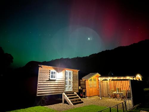 Aberaeron Other | Cwt Bugail Aeron