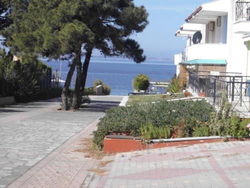 Gerakini Apartment | Dafni's Home 50 meters from the beach