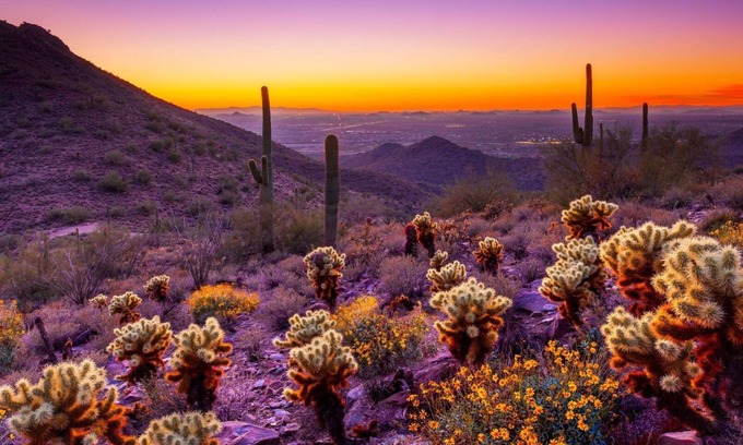 Oracle Heights Estates House | Desert Dreams & Group Adventures Await