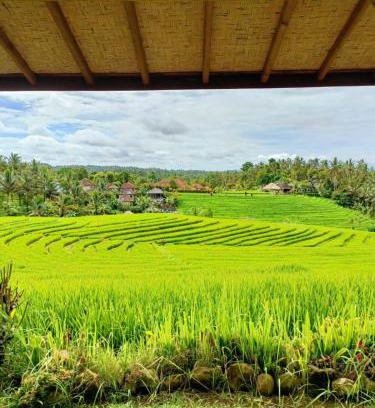 East Selemadeg House | Dewi Nara Guest House By Balitrees