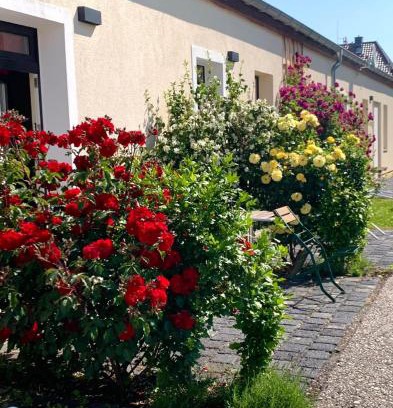Stotteritz Apartment | die Senfbude - Klein aber fein - wunderschönes Studio-Apartment mit Terrasse und Stellplatz