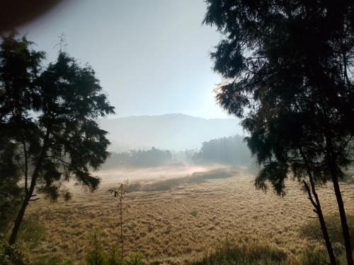 Dieng Kulon Other | Dieng glamping syari'ah