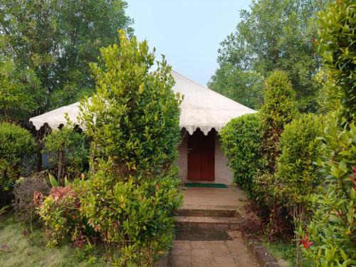 Bhubaneshwar Resort | DMS RBT Resort