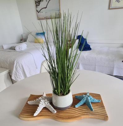 Dolphin Heads Apartment | Dolphin Heads - Resort Unit - Absolute Beachfront! - Whitsunday Getaway!