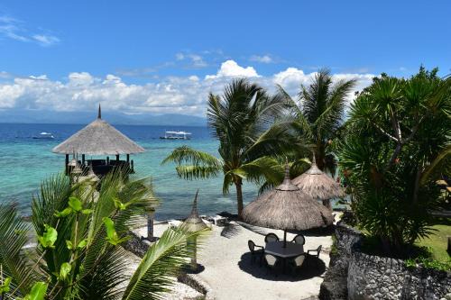 Moalboal Resort | Dolphin House Resort Moalboal