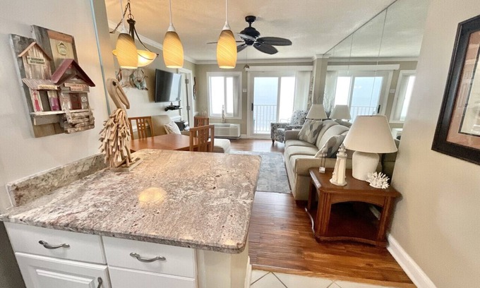 Northeast Virginia Beach Apartment | Dolphin Watching Paradise! Amazing Ocean View-1101