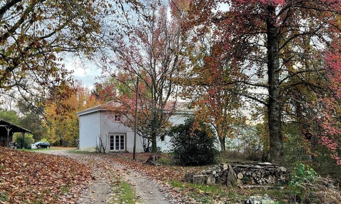 Salles House | Domaine du Martinet : Charming renovated house in the heart of nature