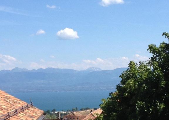 Tartegnin Bed & Breakfast | Domaine Viticole