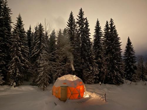 Lillehammer Other | Dome Glamping with shared bathroom
