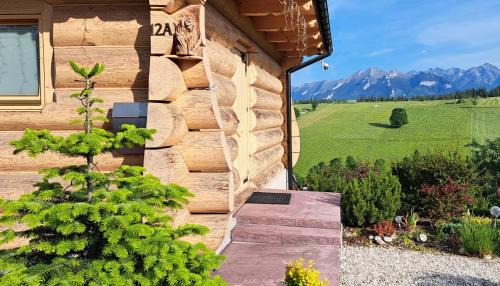 Brzegi Ski Chalet | Domki Góralskie Dwa Misie