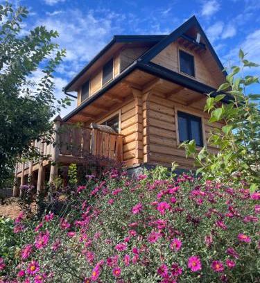 Bialka Tatrzanska Ski Chalet | Domki Na Wypasie Jacuzzi & Sauna