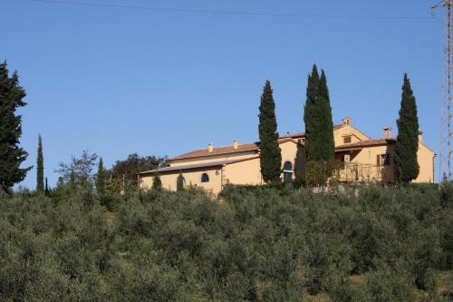 Massa Marittima House | Donzellino