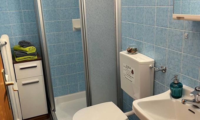 Gleiming Cottage | Double room with shower, WC - Pension Mitterwallner