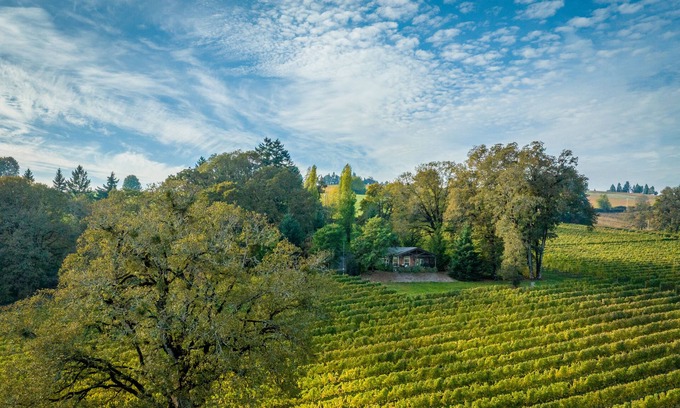 Dayton House | Durant Vineyard's Stoneycrest Cottage ~ stay amidst a destination for the senses