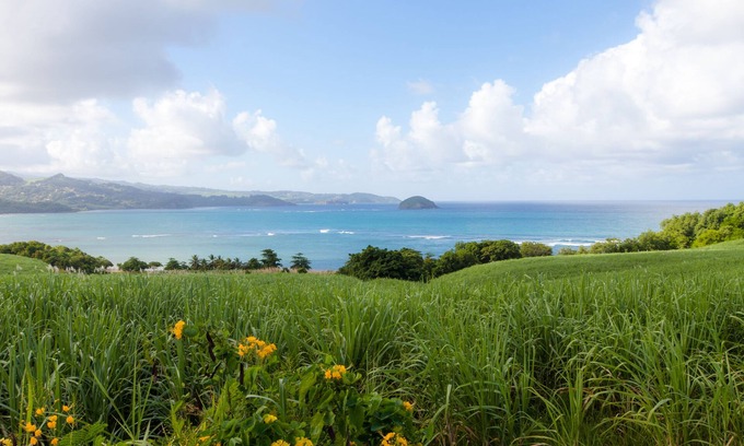 Tartane House | Eclats de Mer, 3 Waterfront Bungalows in Tartane/WIFI Car Rental