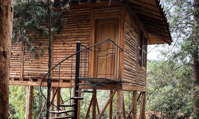 Medellin Hotel | ECO HOTEL NIGUITO