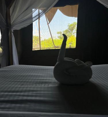 Maasai Mara Hotel | Eco Mara Tented Camp