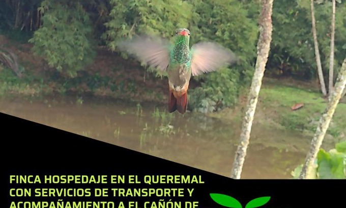 Dagua House | Ecopolis