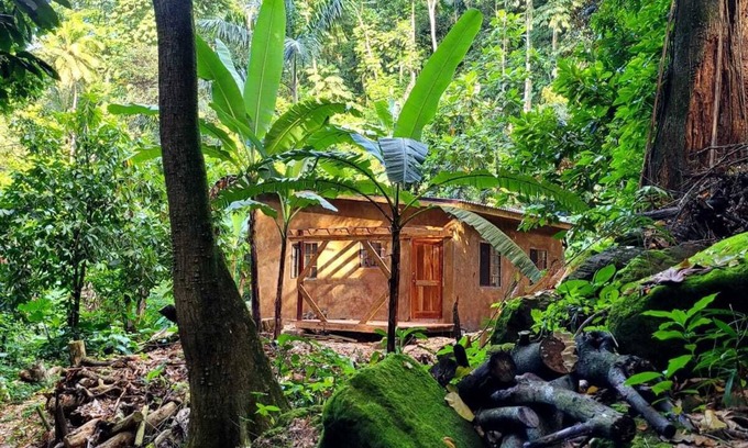 Mammee Bay Cottage | Ecoscape Tulia - Private Nature Escape - 1 Bedroom, 30 minutes to Ocho Rios
