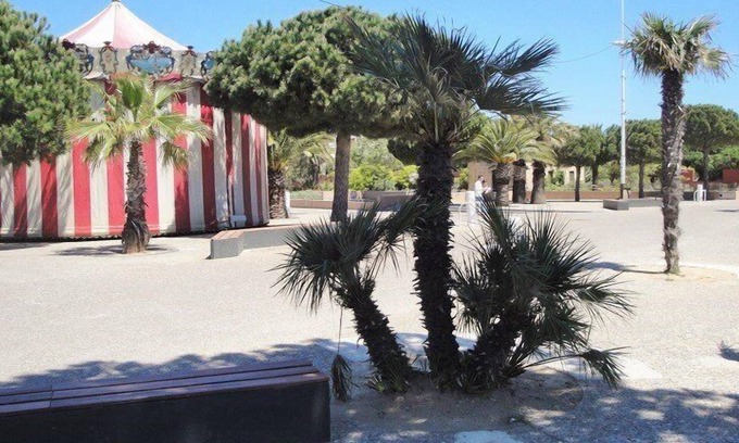 Les Sablettes Apartment | Edge of the beach of Mar Vivo