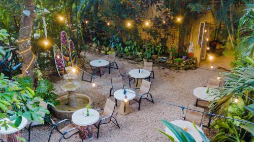 Montezuma Hotel | El Sano Banano Beachside Hotel