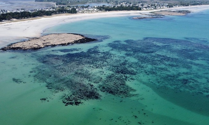 Ile-Tudy House | Elegant and cosy 3 star house, walking distance from the Teven beach
