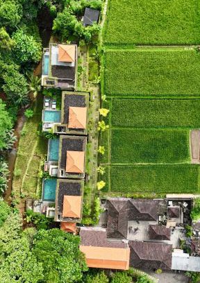 Payangan Villa | ELForest ex Karang Dukuh Villa, Ubud