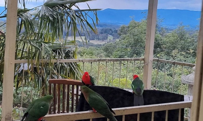 Emerald House | Emerald Kookaburra Hideaway