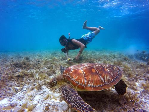 Thulusdhoo Island Cabin | Empyrean Stay, Maldives