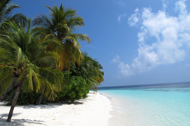 Feydhoo House | Equa Reef Maldives