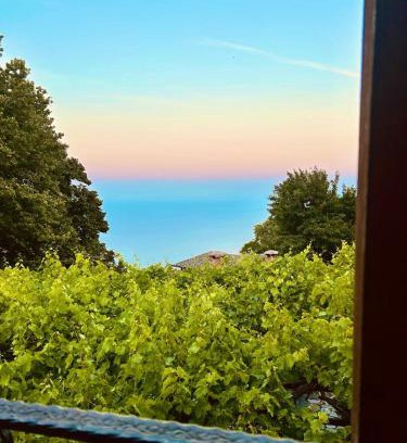 Pouri Villa | Erato's Nest - Pelion