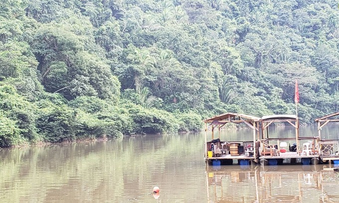 Black Rock Cabin | Escape to the Belizean Jungle in an Off Grid Village