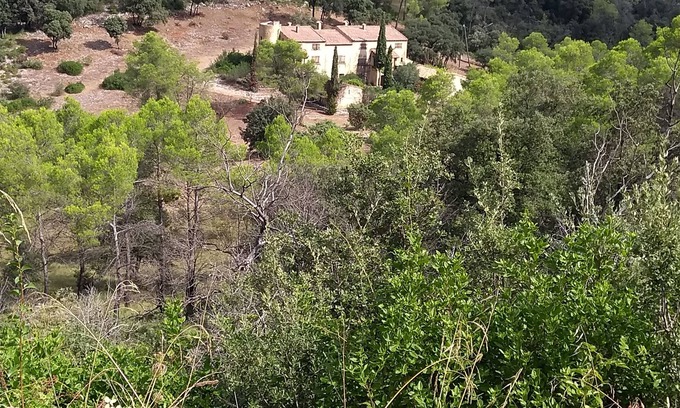 Saint-Bauzille-de-Montmel Other | Exceptional place in the countryside. A rare place near the Pic Saint Loup